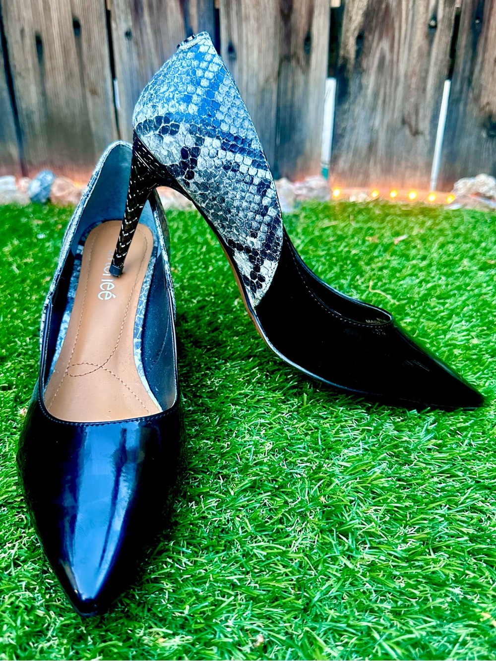 Black Patent Pointed-Toe Pumps with Snake-Print Heel
